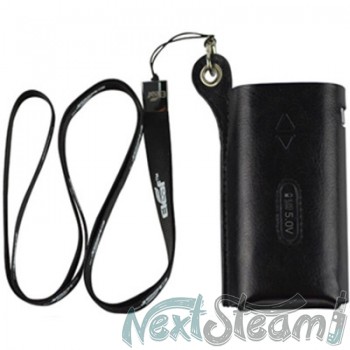 iStick 50W leather case